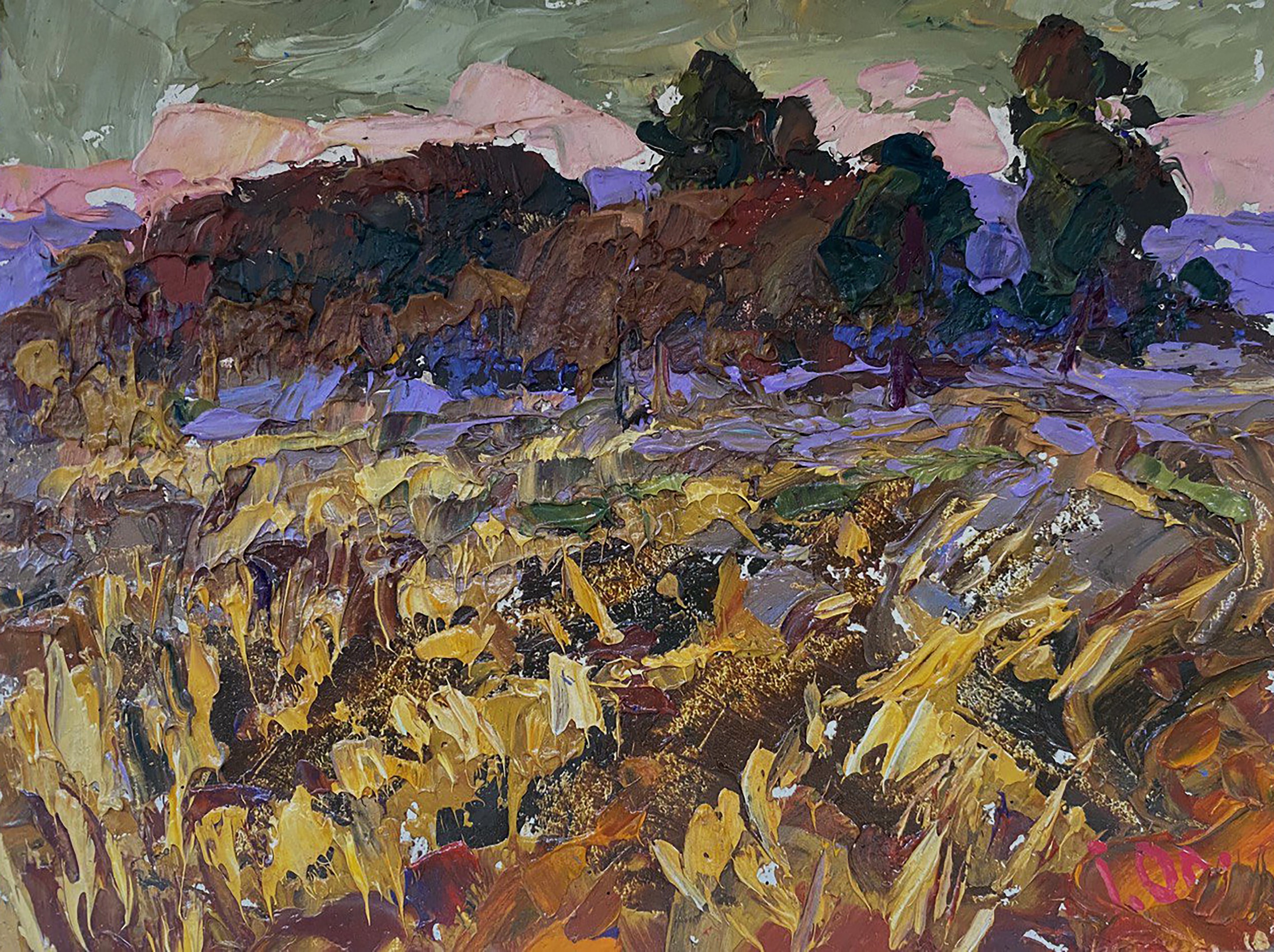 Ivanyuk Oleksiy, A tired field Ivanyuk Oleksiy, A tired field