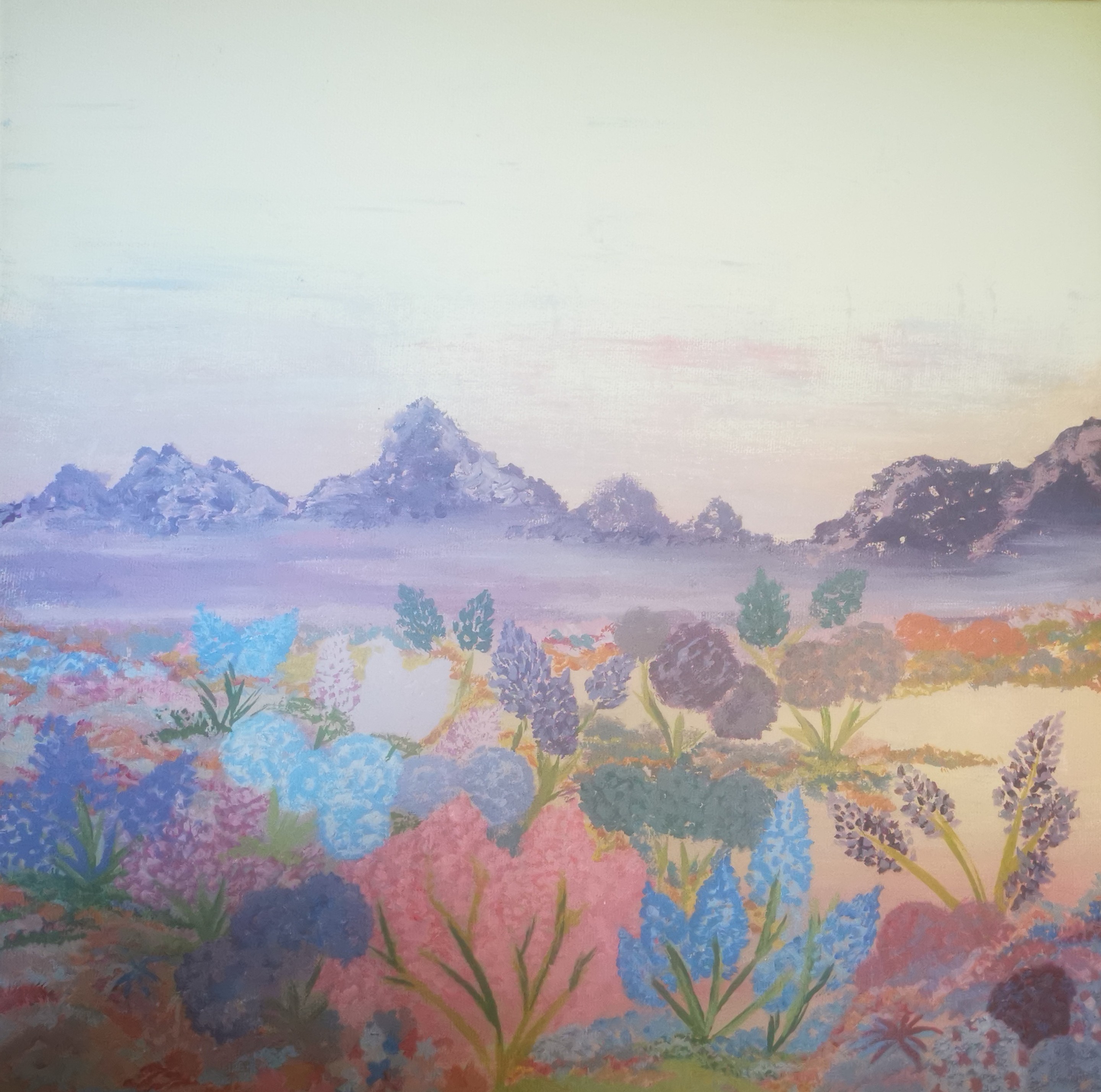 Marine Cauchois, Nature Rêvée Marine Cauchois, Nature Rêvée