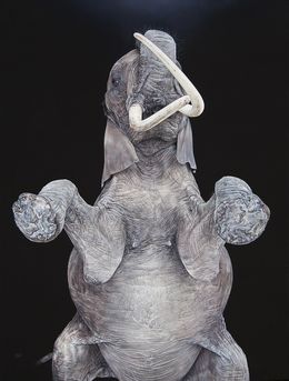 Painting, Crazy World (Eléphante d'Afrique), Christophe Drochon