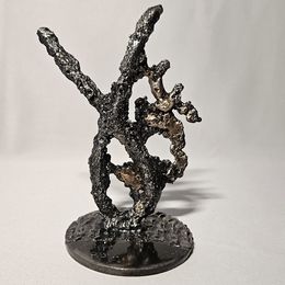 Sculpture, Signe Astrologique Capricorne 16-25, Philippe Buil