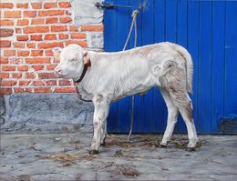 Painting, La Longe (Veau Blanc), Christophe Drochon