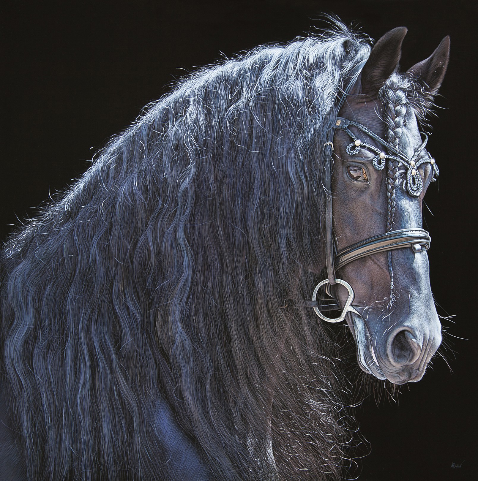 Christophe Drochon, Stoer van Boreel (Cheval Frison) Christophe Drochon, Stoer van Boreel (Cheval Frison)