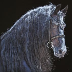 Gemälde, Stoer van Boreel (Cheval Frison), Christophe Drochon