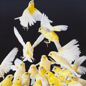 Gemälde, Jaunes (Canaris), Christophe Drochon