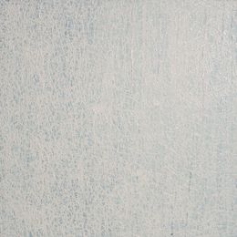 Gemälde, Monochrome n°1, Nicolas Cessieux