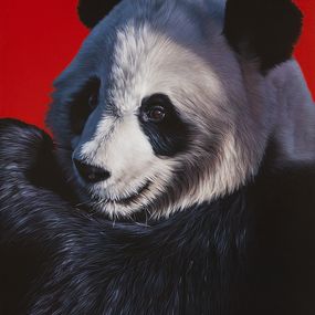 Gemälde, Little Chine girl (Panda Géant), Christophe Drochon
