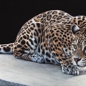 Gemälde, Le Chat et la souris (Jaguar), Christophe Drochon