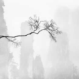 Photography, Celeste 1, Alexandre Manuel