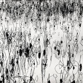 Photography, Constellation, China, Alexandre Manuel