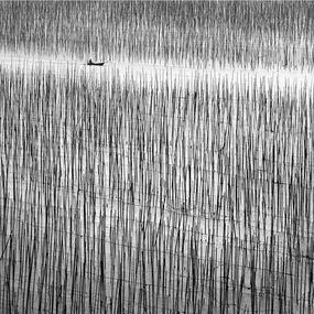 Photographie, Lost in Abstraction 2, China, Alexandre Manuel