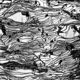 Fotografien, Tiger Mouth 1, China, Alexandre Manuel