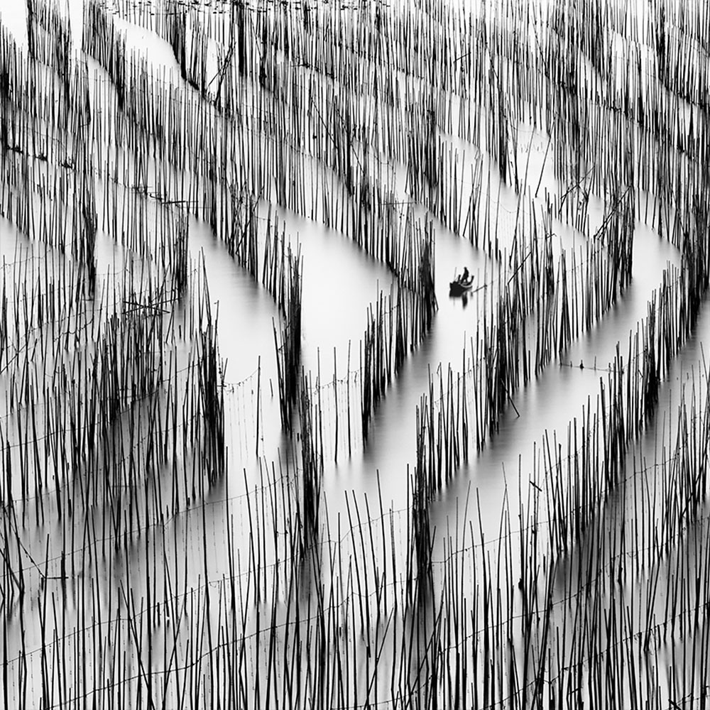 Alexandre Manuel, Lost in Abstraction 4, China Alexandre Manuel, Lost in Abstraction 4, China