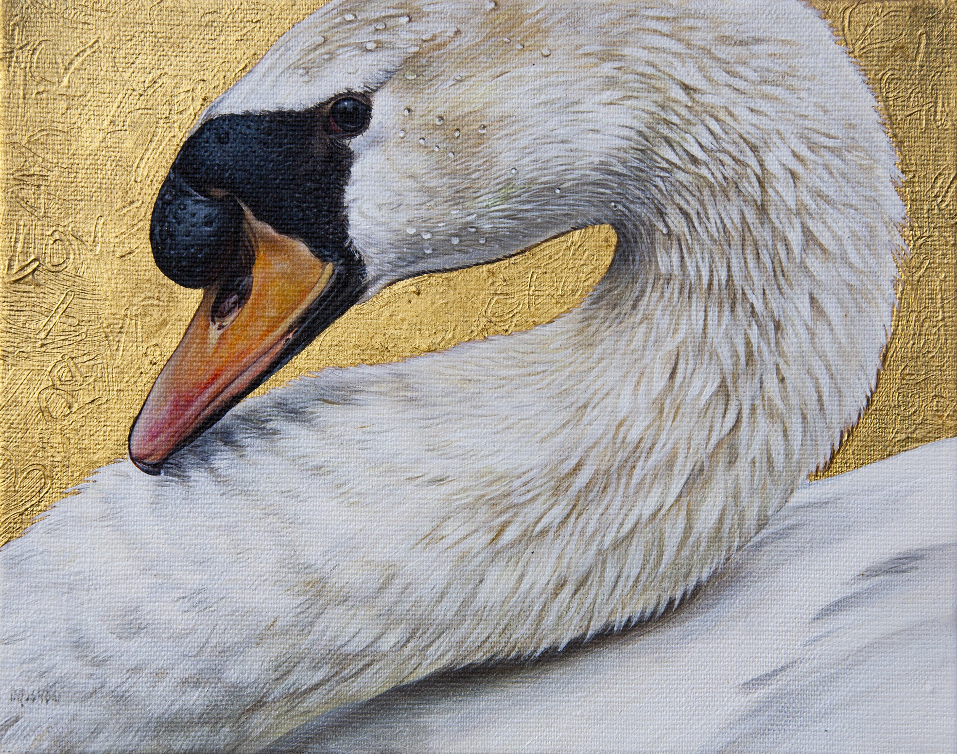 Christophe Drochon, Eros (Cygne) Christophe Drochon, Eros (Cygne)