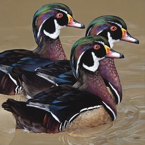 Gemälde, Les 3 Garants (Canards Carolins), Christophe Drochon