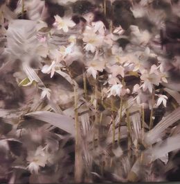 Édition, Requiem of the flowers, Nicole Martinelli