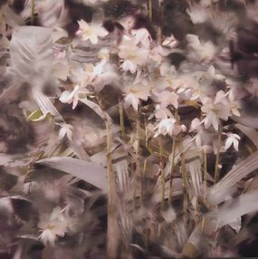 Print, Requiem of the flowers, Nicole Martinelli