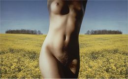 Photographie, Nude (Collage), Franco Fontana