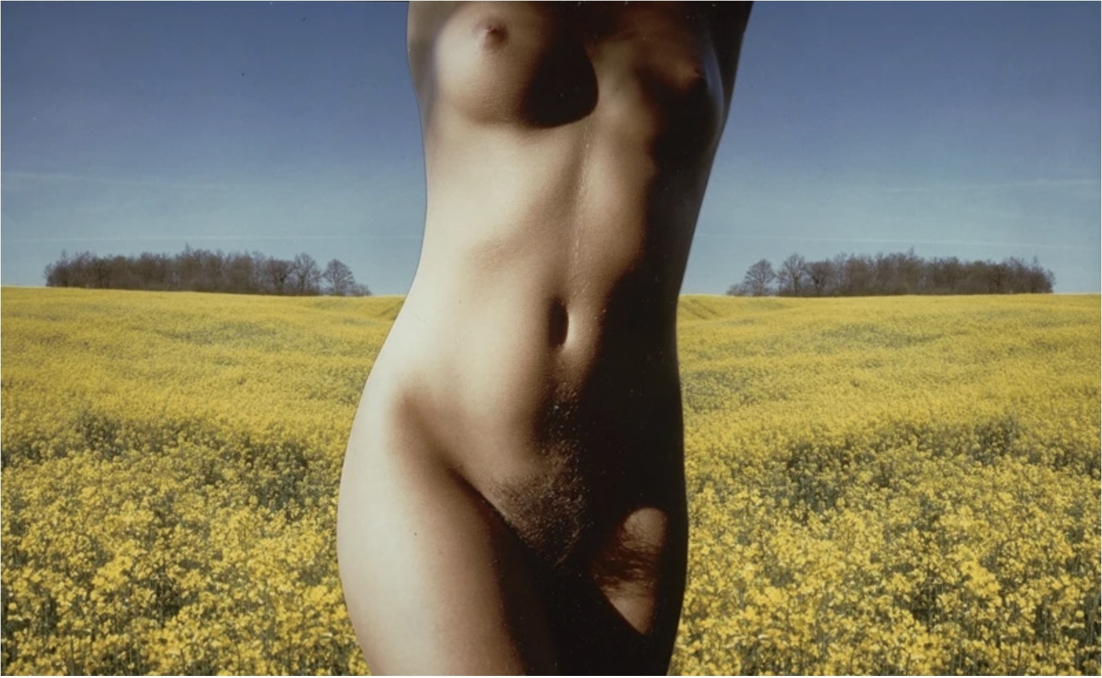 Franco Fontana, Nude (Collage) Franco Fontana, Nude (Collage)