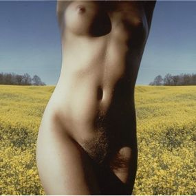 Photographie, Nude (Collage), Franco Fontana