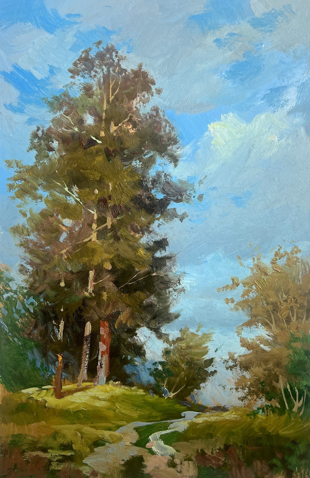 Suprunchuk Yuriy, Admire the summer forest Suprunchuk Yuriy, Admire the summer forest