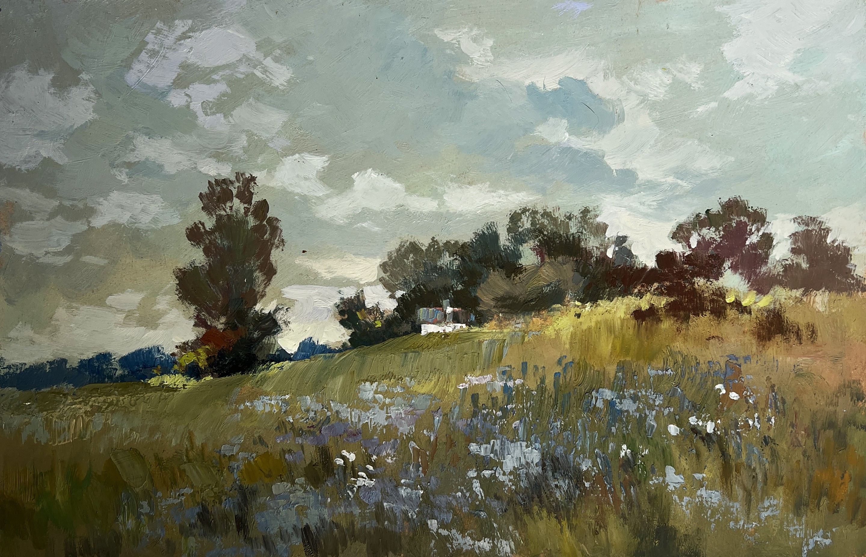Suprunchuk Yuriy, Summer flower meadows Suprunchuk Yuriy, Summer flower meadows