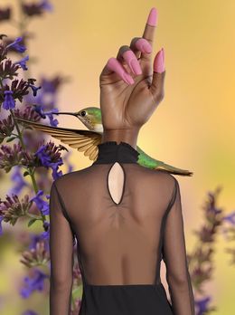 Print, The Whisper of Wings, Sephora Venites