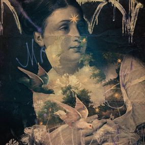 Print, Wilderness, Eduardo Recife