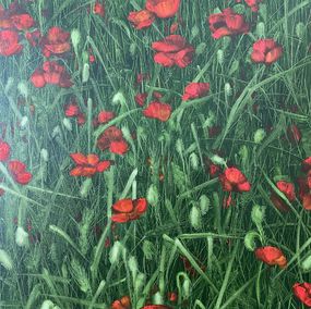 Gemälde, Polly Joke poppies 2, Tanya Shymko