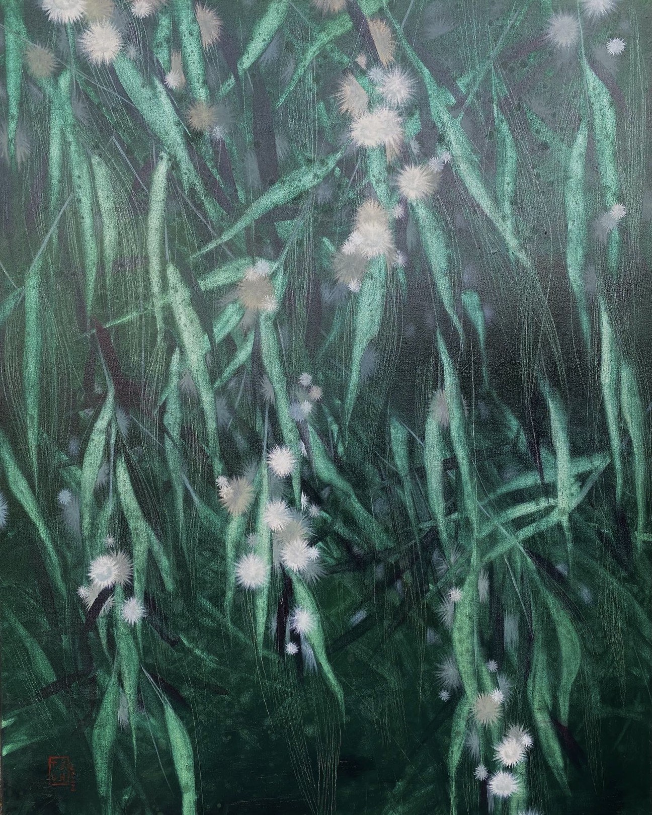 Tanya Shymko, Blooming Tanya Shymko, Blooming
