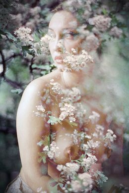 Fotografien, Chloris, Clara Diebler