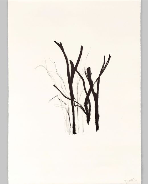 Clara Champsaur