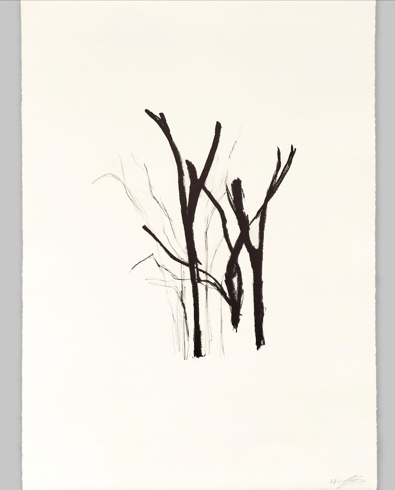 Clara Champsaur, Sans titre Clara Champsaur, Sans titre