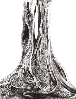 Print, Liens, Marion Chombart de Lauwe