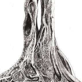 Print, Liens, Marion Chombart de Lauwe