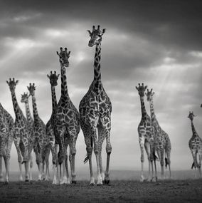 Photographie, One for all, all for one, Bjorn Persson