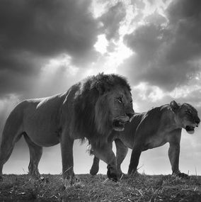 Photographie, King the Queen, Bjorn Persson