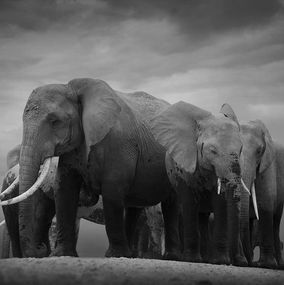 Fotografia, Together, Bjorn Persson