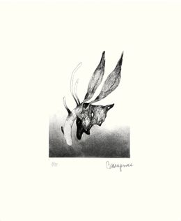 Édition, Désir et botanique, Cécile Granier de Cassagnac