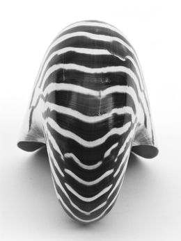 Fotografien, Sin título (Identity Promises Series), Imanol Marrodán