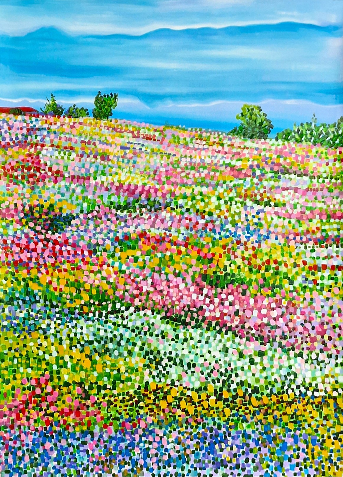 Alexandra Djokic, Spring field Alexandra Djokic, Spring field