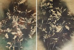 Painting, RF7778 Double-Sided, Stefano Mazzolini