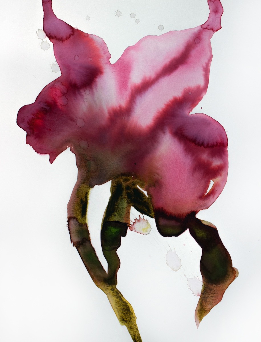 Elizabeth Becker, Abstract Floral No. 11 Elizabeth Becker, Abstract Floral No. 11