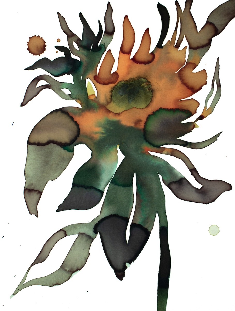 Elizabeth Becker, Sunflower No. 4 Elizabeth Becker, Sunflower No. 4