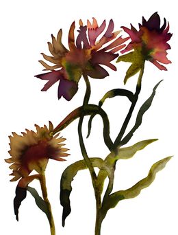 Painting, Abstract Floral No. 25, Elizabeth Becker