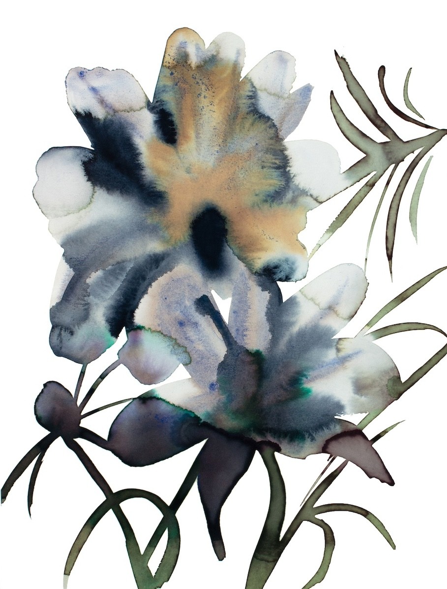Elizabeth Becker, Abstract Floral No. 14 Elizabeth Becker, Abstract Floral No. 14
