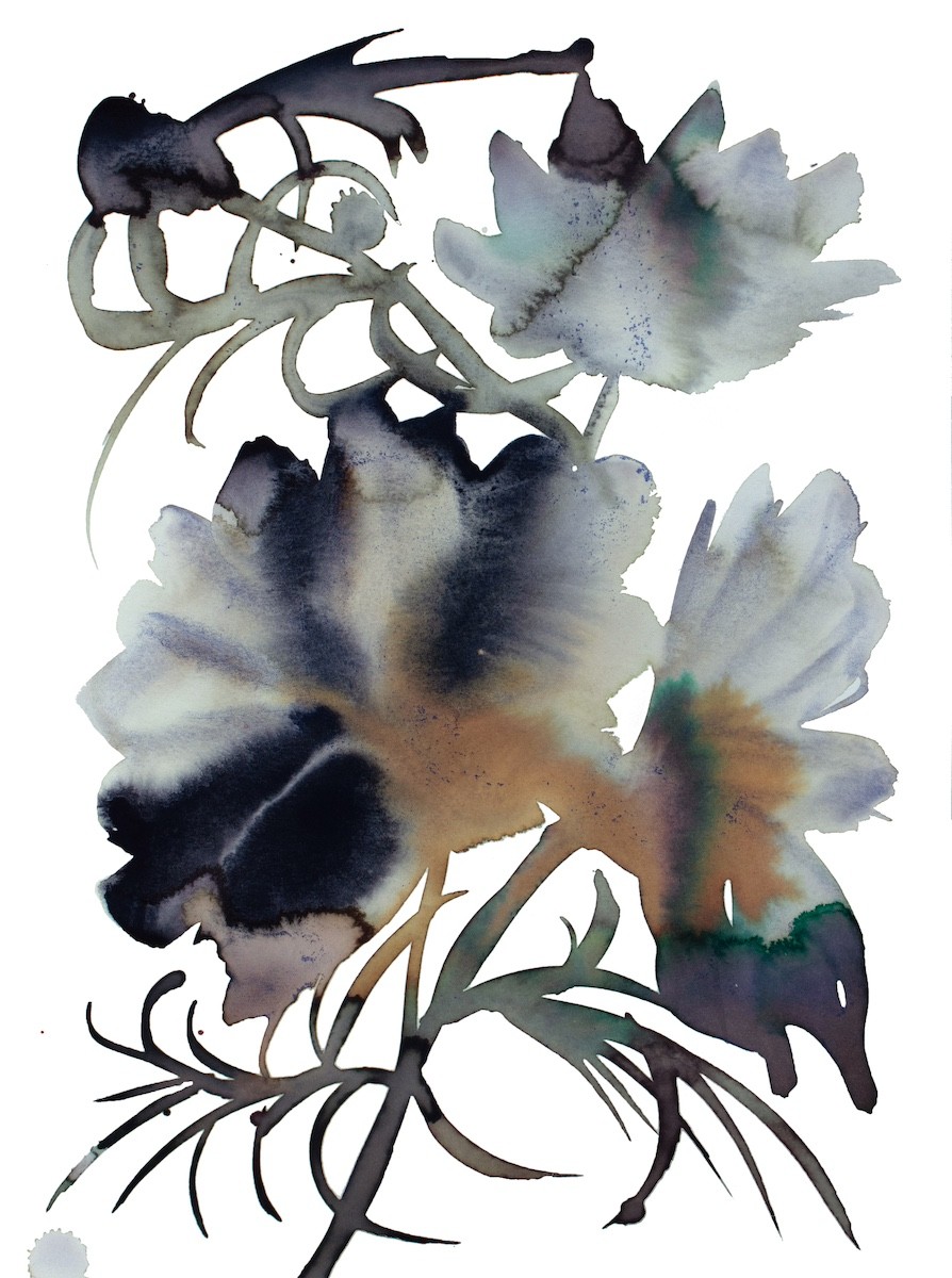 Elizabeth Becker, Abstract Floral No. 13 Elizabeth Becker, Abstract Floral No. 13
