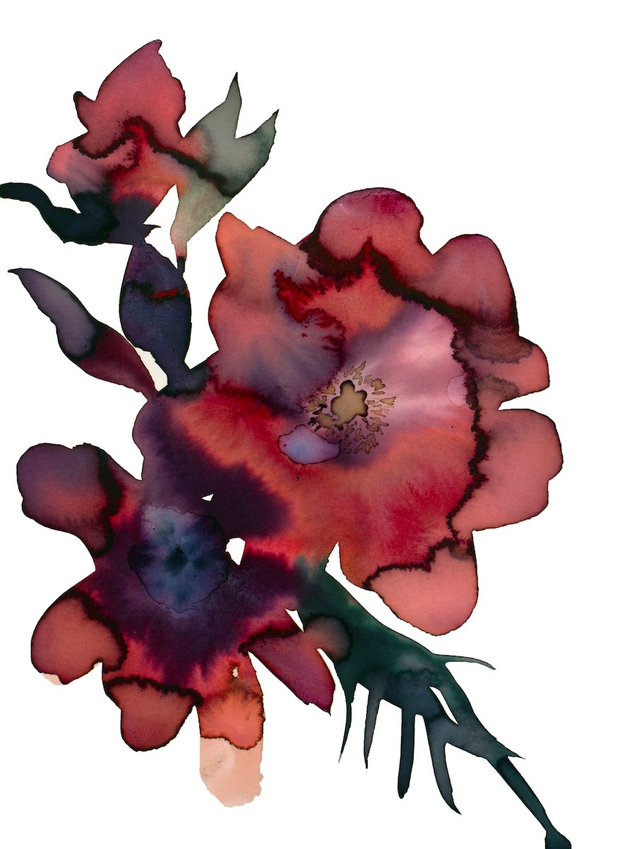 Elizabeth Becker, Abstract Floral No. 20 Elizabeth Becker, Abstract Floral No. 20