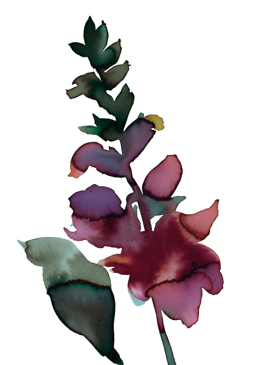 Elizabeth Becker, Abstract Floral No. 18 Elizabeth Becker, Abstract Floral No. 18