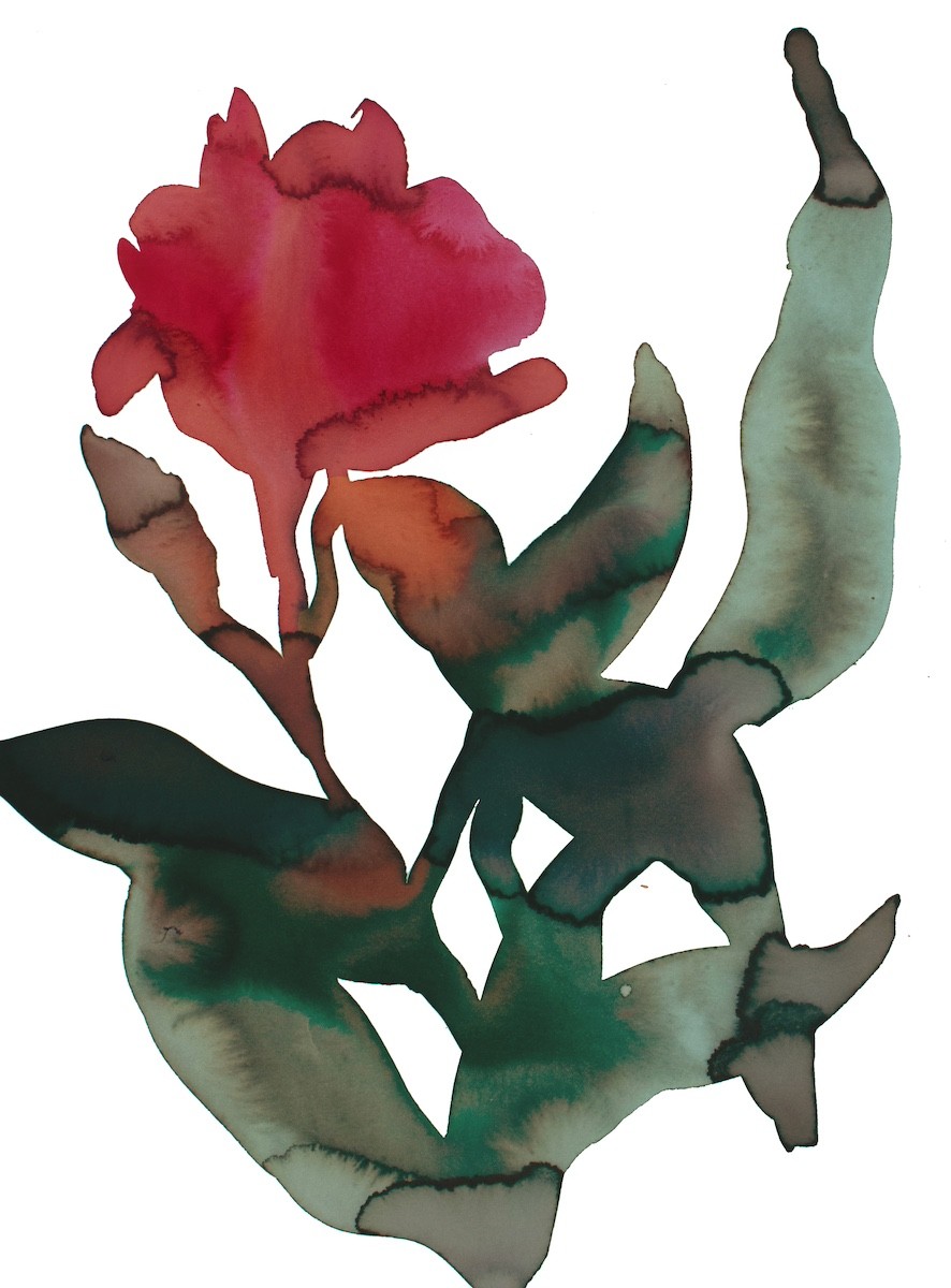 Elizabeth Becker, Abstract Floral No. 30 Elizabeth Becker, Abstract Floral No. 30
