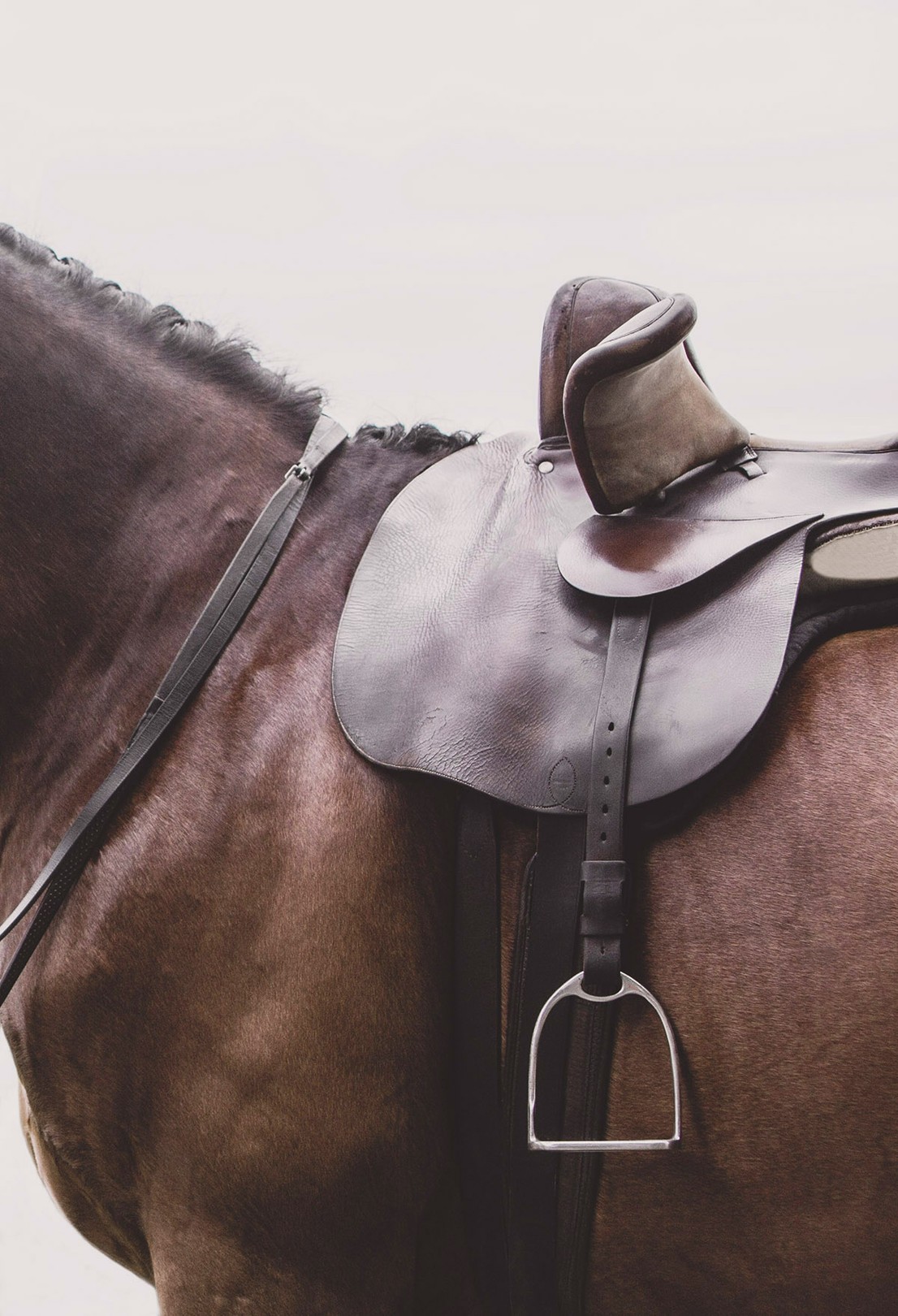 Amrita Bilimoria, Side Saddle, The Equestrienne Amrita Bilimoria, Side Saddle, The Equestrienne